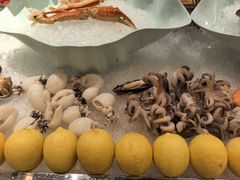 -广州万富希尔顿酒店-感趣自助餐厅·生蚝海鲜刺身