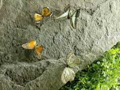 -青藏高原自然博物馆