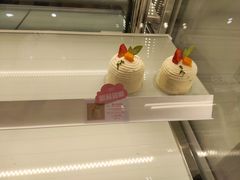 -蒲公英(五里店)