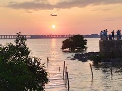 -宝安西湾红树林湿地公园