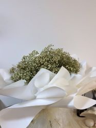 -美肤盾祛痘·问题肌头疗管理中心