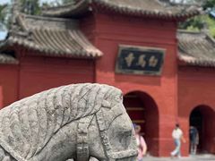-洛阳白马寺