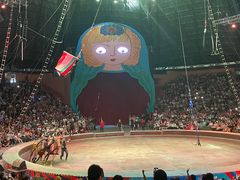 -俄罗斯国家大马戏团