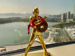 -深圳湾万象城(南山店)