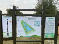 -芒洲湿地公园