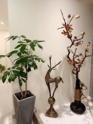 -康颜SPA自然疗愈皮肤管理中心