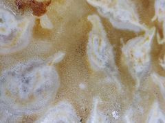 -北国饭店·海鲜.北方菜(榕城店)