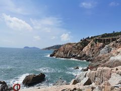 -广东惠东海龟国家级自然保护区