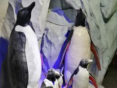 -太平洋海底世界