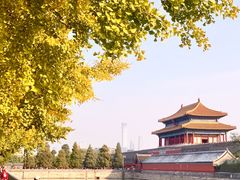 -故宫博物院(故宫)