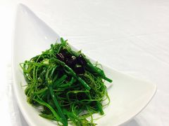 -筒子骨炖黄鸭叫·許家故事(凯德广场店)