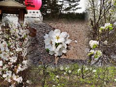 -帽儿山国家森林公园