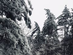 -大别山南武当滑雪场