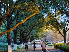 -阳澄湖半岛旅游度假区