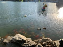 -团结湖公园