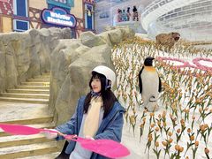 -广州热雪奇迹