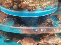 -粗茶淡饭·蒸鲜(光谷店)