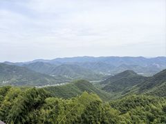 -莫干山风景区