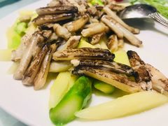 -清水蘭軒