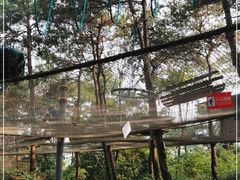 -芦仙山景区-飞越丛林探险乐园
