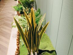 -去茶去餐厅(中央大街店)