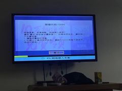 -两棵枇杷树