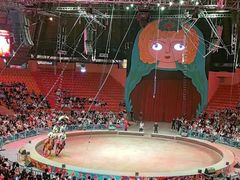 -俄罗斯国家大马戏团