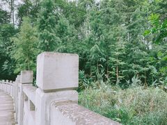 -重庆彩云湖湿地公园