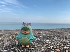 -北海金海湾红树林生态旅游区