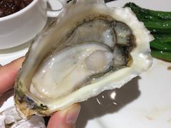 冰岛生蚝-白天鹅宾馆·流浮阁咖啡厅