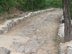 -阳台山自然风景区