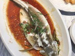 东海黄鱼-都市阳光海鲜城(青山湖店)