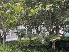 -北京希尔顿逸林酒店