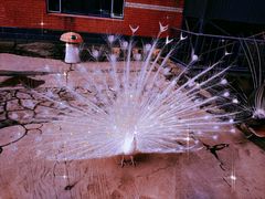 -哈尔滨北方森林动物园