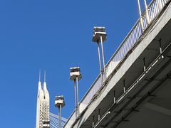 -Silly Dog Coffee(滨江店)