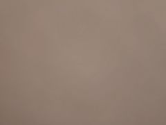 -鹅冠港式茶餐厅(来福士店)