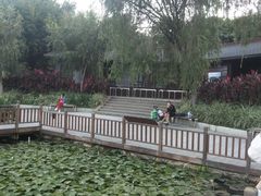 -五缘湾湿地公园