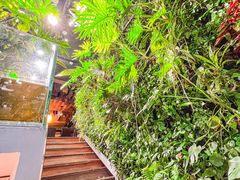 -森味薪火烧•烧鸟居酒屋•日本料理(望京店)