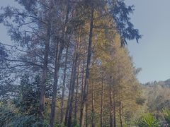 -宁波野生动物园