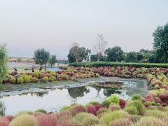 -春花秋色城市公园