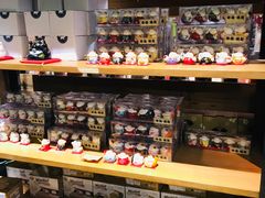 -猫咪博物馆(顶澳仔猫街店)