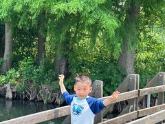 -溱湖国家湿地公园