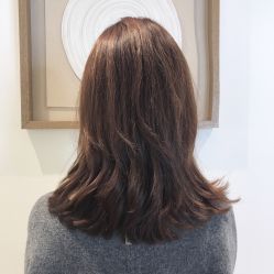 -THE LOG SALON 记录