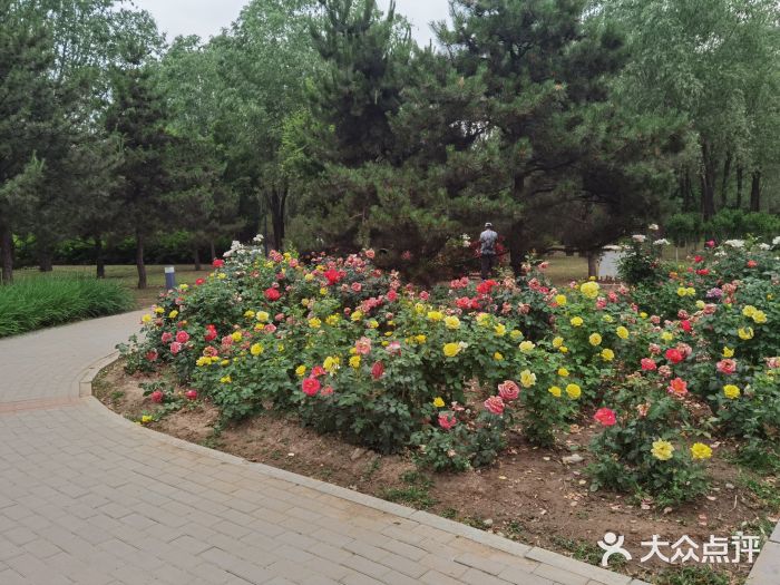 坝河休闲公园图片
