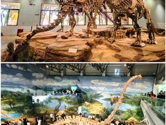 -自贡恐龙博物馆