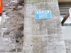 -老街无刺鲫鱼