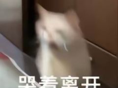 -耶里夏丽·丝路新疆菜·清真食品(徐汇南丹东路臻选店)