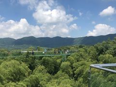 -陶祖圣境风景区