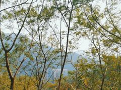 -梧桐山风景名胜区