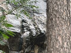 -青岩寺风景区